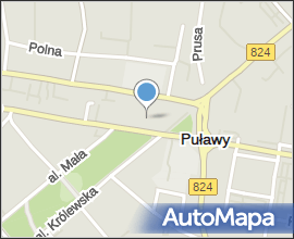 Pulawy palac czartoryskich