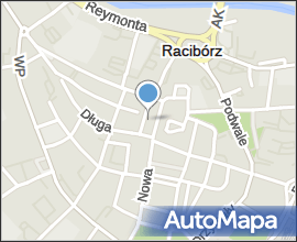 Racibórz Kolumna Maryjna 6345