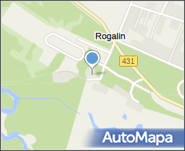 Rogalin Pałac od strony parku