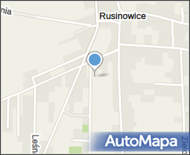 Rusinowice 042007