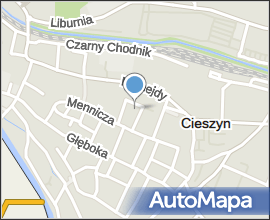 S1-cieszyn-pl