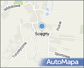 Ścięgny Western City