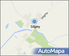 Silginy ruiny 10042009