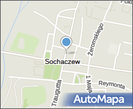 Sochaczew ryneczek 01.05.09 p