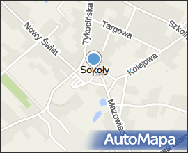 Sokoły1