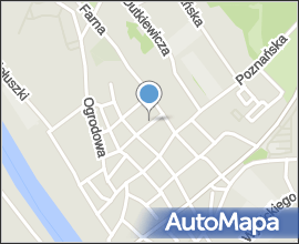 Śrem motorowodne dekoracja T550