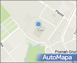 Stadion Miejski w Poznaniu 2010 środek