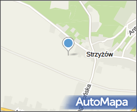 Strzyzow2