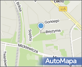 Szczecin ul Soplicy dawny cmentarz zydowski