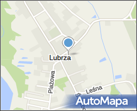 Szkoła w lubrzy