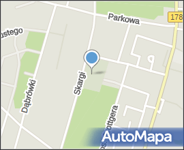 Trzcianka - Old cemetery 03