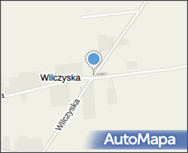 Trzmiel na białym kwiatku
