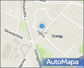 Ulica Wilczak Poznan (2)