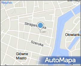 Unknown bird in Gdansk (002)
