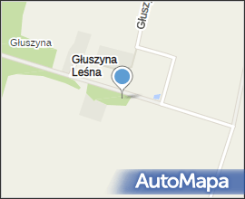 Wieś Głuszyna leśna w Polsce 002
