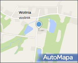 Wolinia46