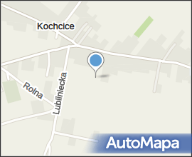 Zamek kochcice 544