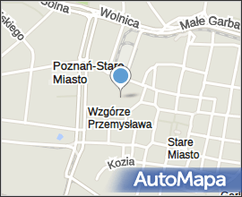 Zamek królewski w Poznaniu