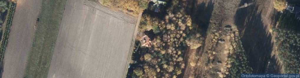 Zdjęcie satelitarne Dach Trade Piotr Zimka Witold Seta Piotr Zimka