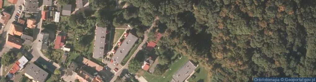 Zdjęcie satelitarne Arnika