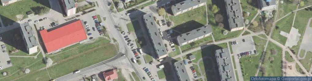 Zdjęcie satelitarne Arnika