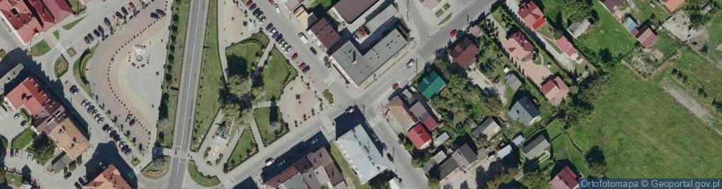 Zdjęcie satelitarne Arnika