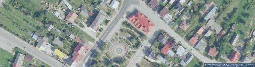 Zdjęcie satelitarne Arnika