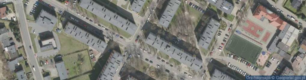 Zdjęcie satelitarne Salix