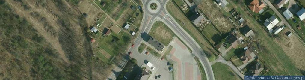 Zdjęcie satelitarne Sinapis