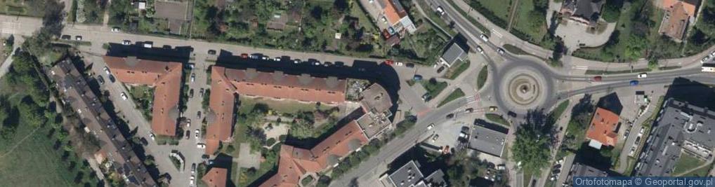 Zdjęcie satelitarne Olena Zagórska-Dorochowicz