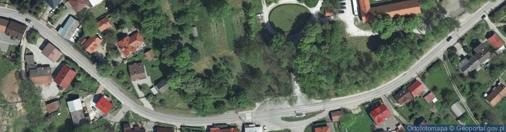 Zdjęcie satelitarne Dwór, park