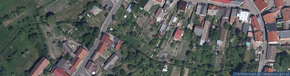 Zdjęcie satelitarne Łysa Góra - Pszczewski Park Krajobrazowy