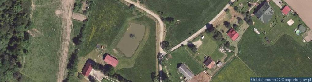 Zdjęcie satelitarne Ruiny