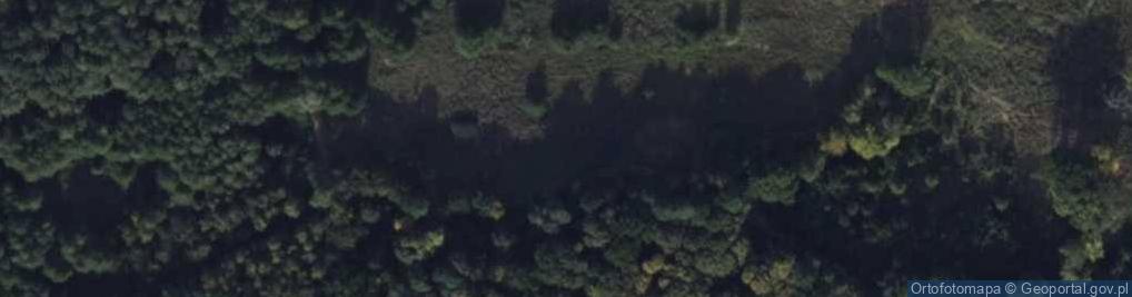 Zdjęcie satelitarne Ścieżka przyrodniczo-leśna "Dziewicza Góra"