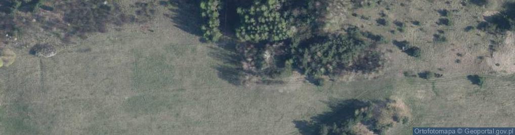 Zdjęcie satelitarne Wapiennik