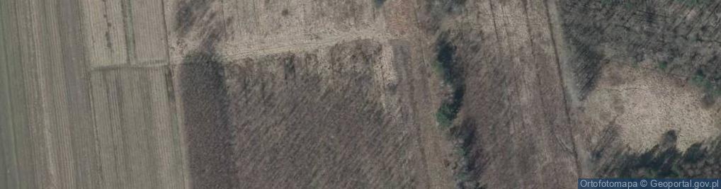 Zdjęcie satelitarne Easy Auchan Bp OSTRÓW KANIA POŁUDNIE