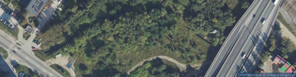 Zdjęcie satelitarne SKUP AUT GDYNIA 784 136 136