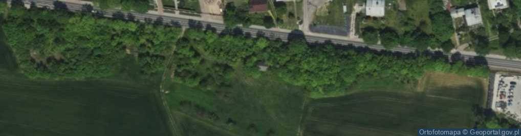 Zdjęcie satelitarne Bank BPS - Oddział