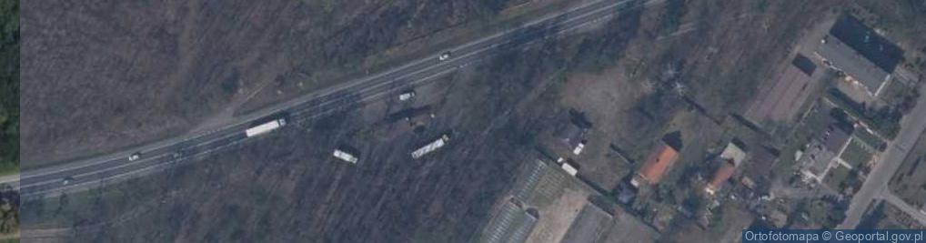 Zdjęcie satelitarne Leśny