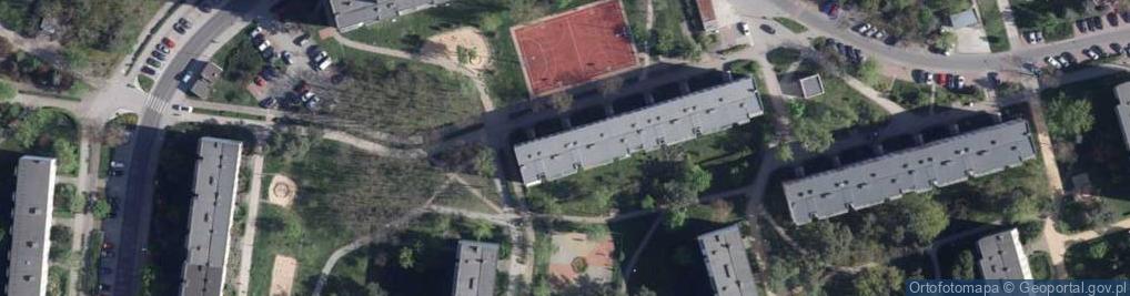 Zdjęcie satelitarne Rybka