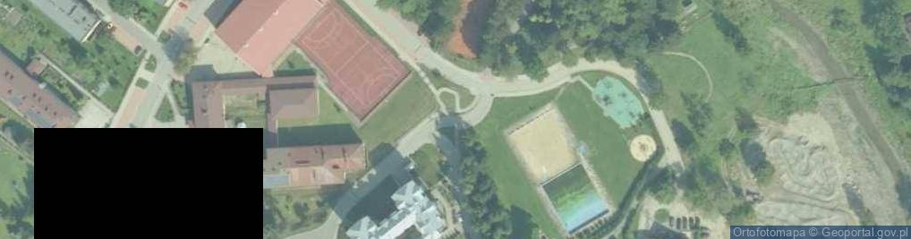 Zdjęcie satelitarne Basen kąpielowy otwarty