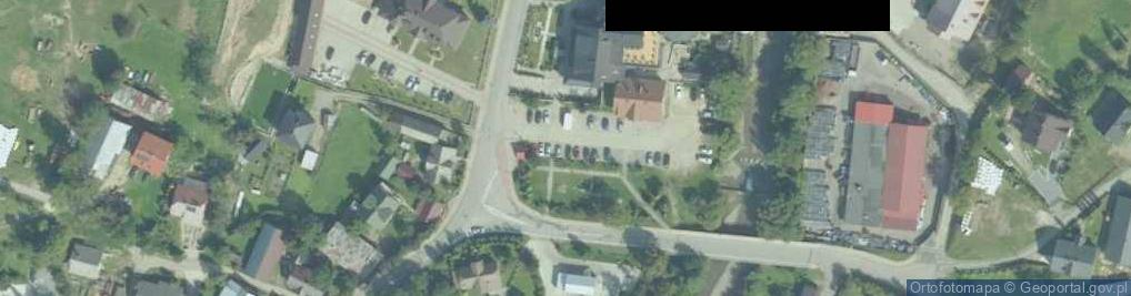 Zdjęcie satelitarne dla pojazdów do 7t /nie dotyczy autobusów/