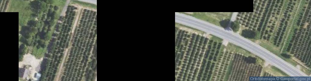 Zdjęcie satelitarne Gminna Biblioteka Publiczna w Obrazowie