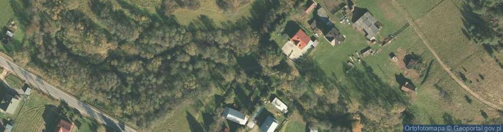 Zdjęcie satelitarne rz. Muszynka