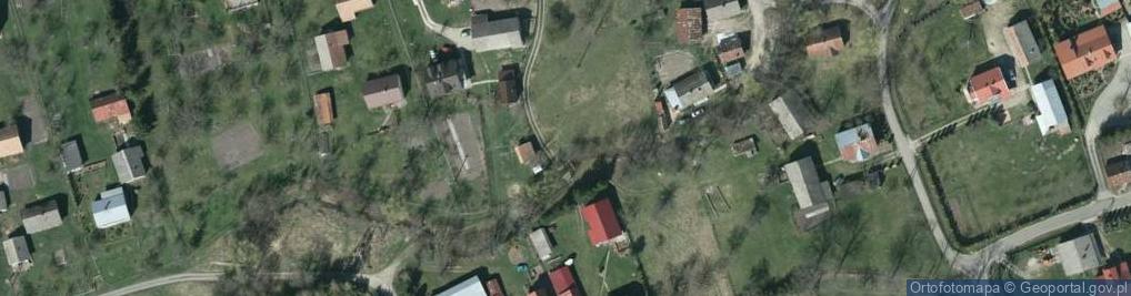 Zdjęcie satelitarne rz. Zalesie