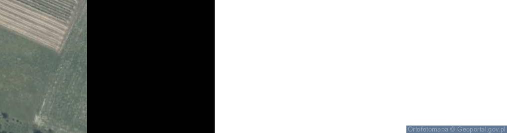 Zdjęcie satelitarne Adamex -Adam Kobyliński