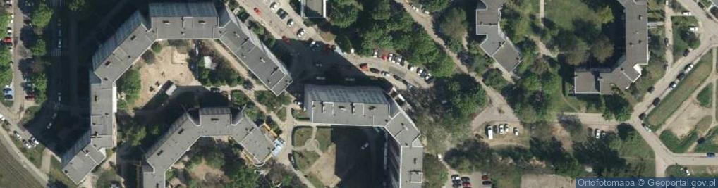 Zdjęcie satelitarne Artwalls Marcin Kiciński Jacek Zubel