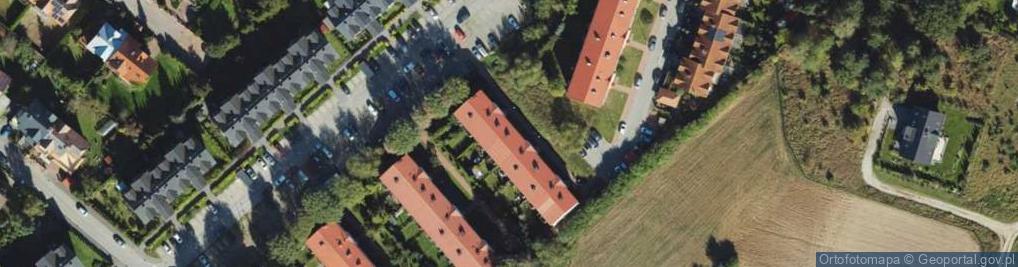 Zdjęcie satelitarne Bud-Gier Grzegorz Krygier