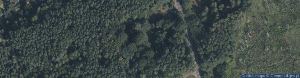 Zdjęcie satelitarne Dariusz Dąbrowski Evergreen-Telcom Firma Produkcyjno Handlowa