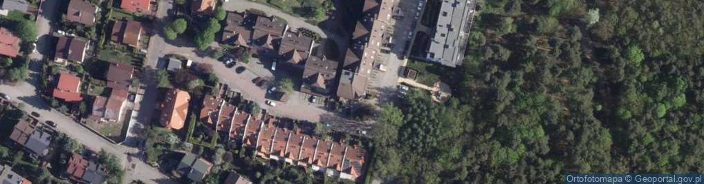 Zdjęcie satelitarne Dutch Investment